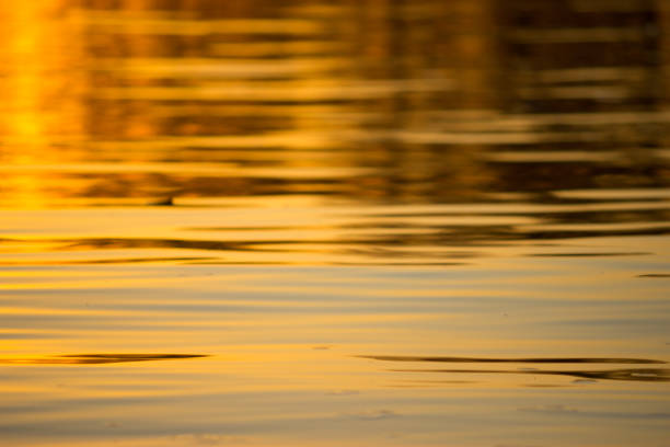 istock water background in colorful sunset light. close up 1045894704