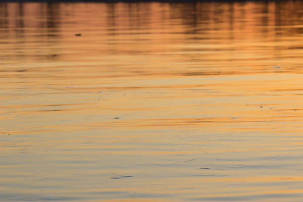 istock water background in colorful sunset light. close up 1045894764