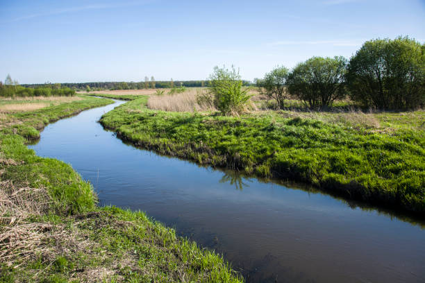 istock Curve river and bushes on the shore 1045894986