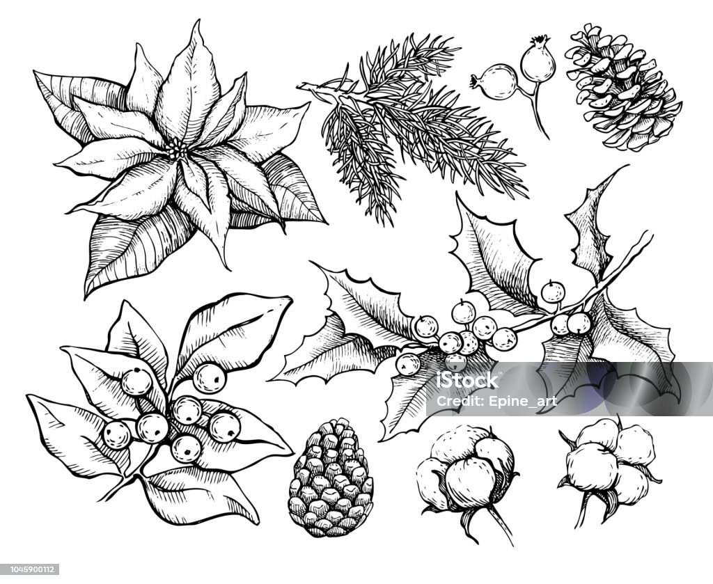 Ilustración de Planes Tradicionales De Navidad Vector Ilustración De Dibujo De Acebo Muérdago Flor De Pascua Cono De Pino y más Vectores Libres de Derechos de Navidad - iStock Ilustración de Planes Tradicionales De Navidad Vector Ilustración De Dibujo De Acebo Muérdago Flor De Pascua Cono De Pino y más Vectores Libres de Derechos de Navidad - iStock