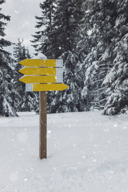 istock Directional Signs In Winter Storm 1045900764