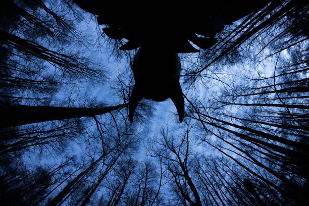 istock ghostly silhouette in spooky dark forest. halloween concept 1045903076