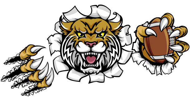 ilustrações, clipart, desenhos animados e ícones de mascote futebol americano wildcat - bobcat wildcat undomesticated cat animal