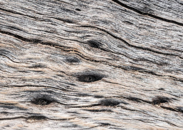 istock Abstract texture on surface of old wooden board 1045909242