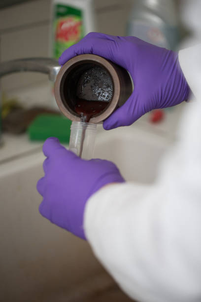 istock Scientific experiment in the Laboratory with green algae 1045909360