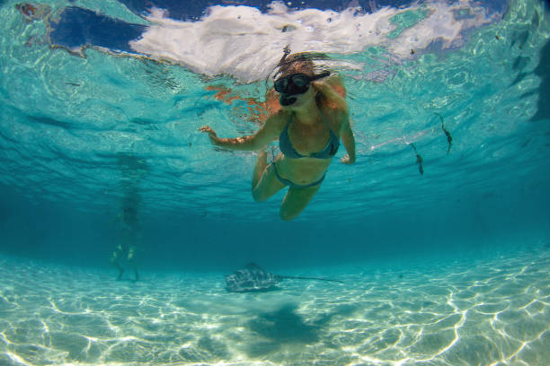 istock diver and sting ray in french polynesia 1045929610