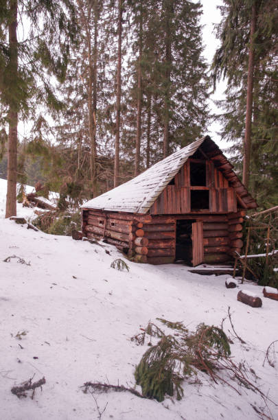 冬の森の小屋。ハンターの家。 - snow horizon winter shed ストックフォトと画像