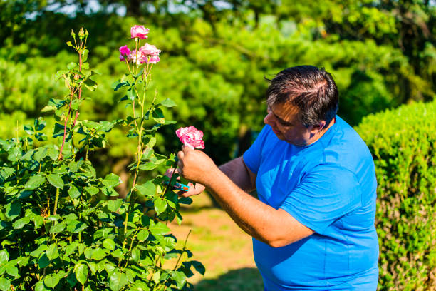 istock Man in Garden Pruning the Flowers 1045942472