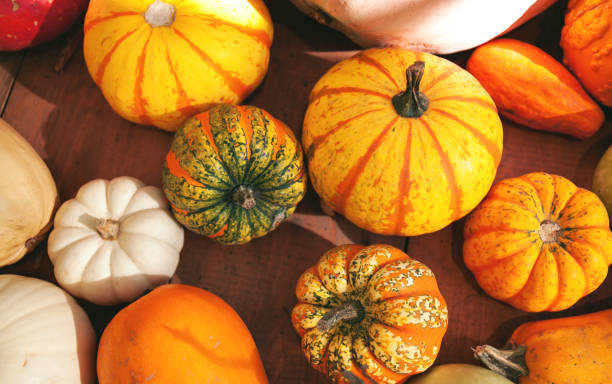 istock Assortment pumpkins on a wooden table 1045945158