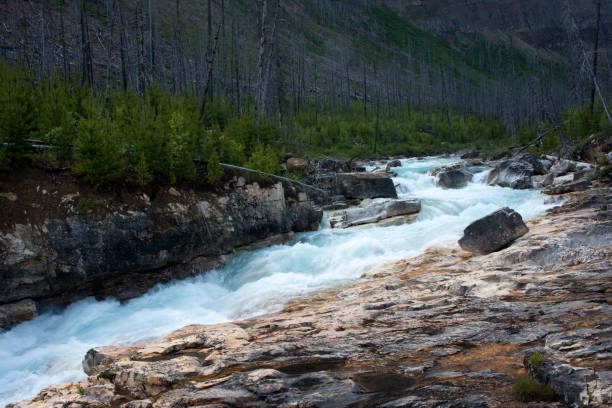 istock Scenery of Marble Canyon 1045945928