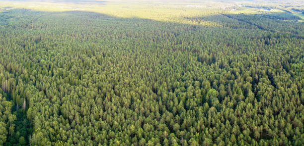 istock Aerial Shot of a river 1045950856
