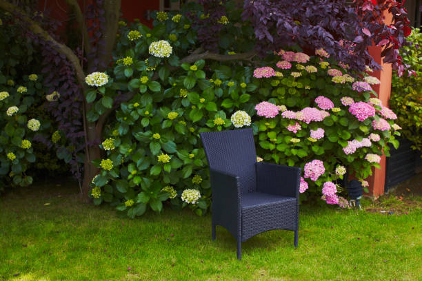 istock Rattan chairs in blooming garden 1045961046