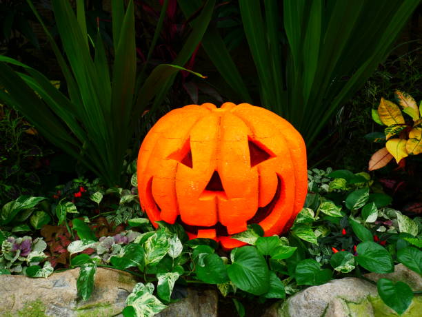 istock Halloween gardening decoration 1045965322