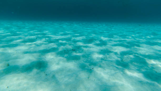 istock live underwater in a paradise island 1045971584
