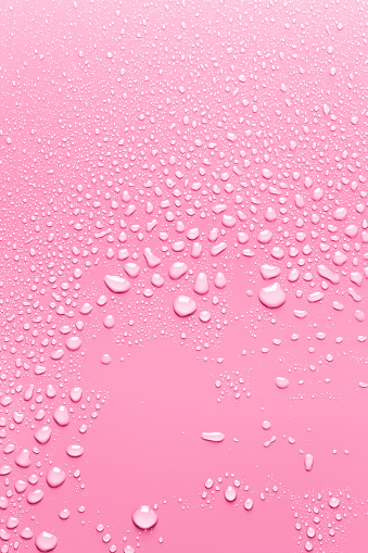Macro image of water drops on pink surface