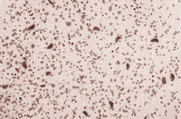 istock Texture cosmetic gel scrub for face and body. Selective focus. 1045975484