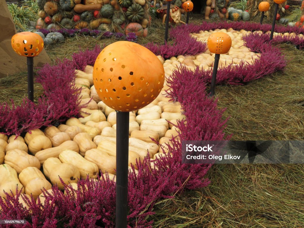 Décorations d’Halloween, Jack o'lanterns - Photo de Confiserie - Mets sucré libre de droits