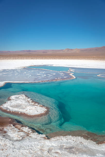 istock Salt formations in northern Chile - Atacama desert 1045979712