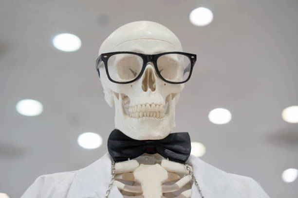 Skull head wearing eyeglasses and white scientific lab coat. Skeleton or Skull head wearing eyeglasses and white scientific lab coat. Educational material.
