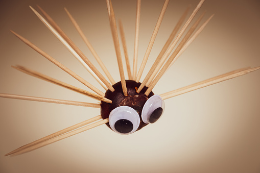 Handmade Hedgehog Figure Made From a Chestnut with Cocktail Sticks