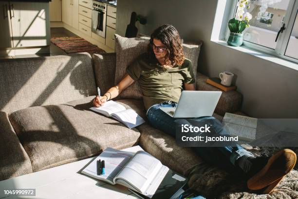 Student Studying At Home Sitting Beside A Window Stock Photo - Download Image Now - E-Learning, Domestic Life, Sofa