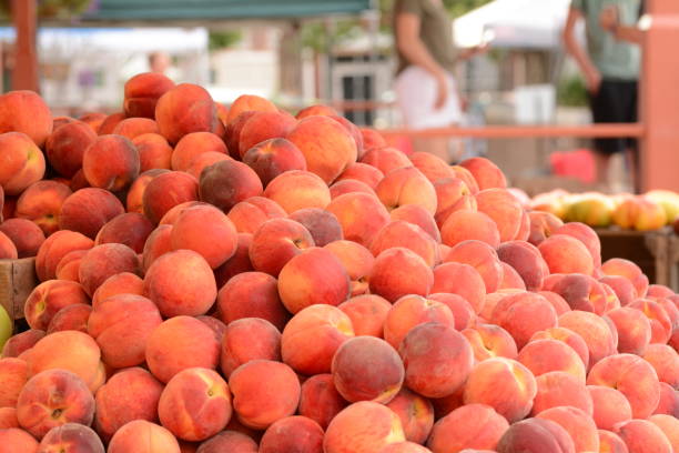 istock Flowers and fruit in Alexandria VA 1045997058