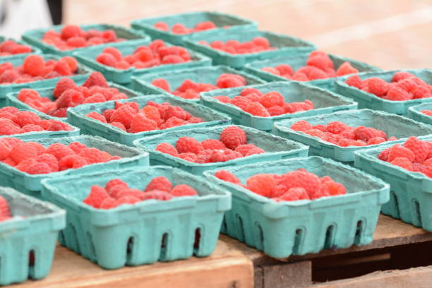 istock Flowers and fruit in Alexandria VA 1045997060
