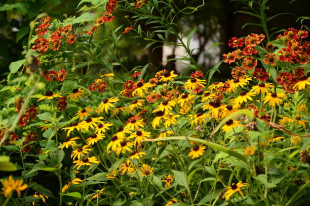 istock Flowers and fruit in Alexandria VA 1045997384