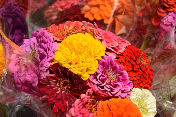 istock Flowers and fruit in Alexandria VA 1045997746