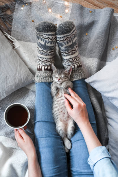 istock Woman holding a cup of tea while playing with her cat 1046002796
