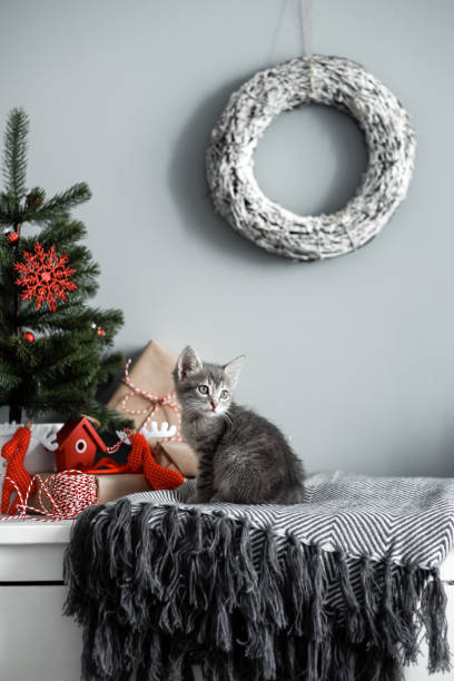 istock Cute kitten in a Christmas decoration in red 1046004882
