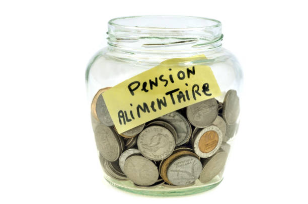 cagnotte pour la pension alimentaire - french silver coin fotografías e imágenes de stock
