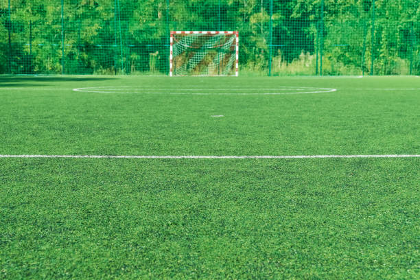 istock Football field, view from the gate 1046023918