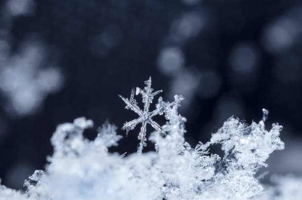 istock snowflake in the snow, winter 1046028208