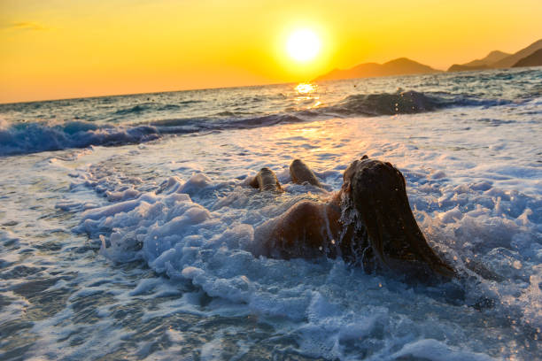 Woman is among the waves at sunset.