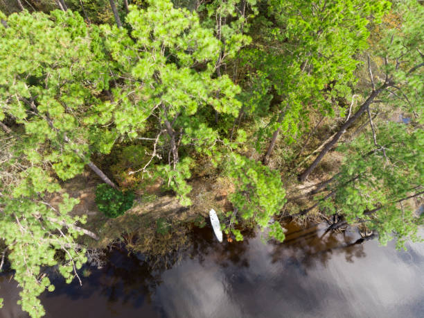 istock Paddle Boarding in Coastal North Carolina 1046039600