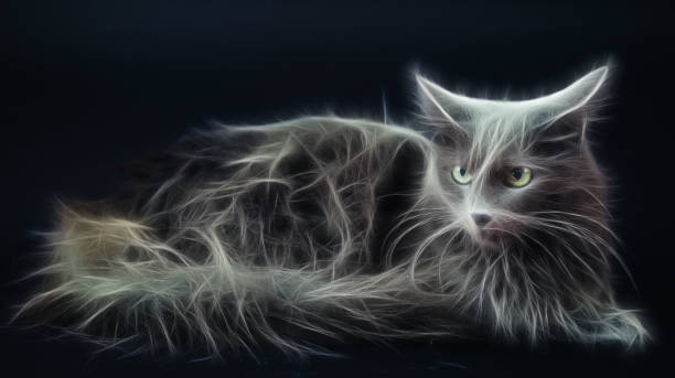 Theatrical Makeup, halloween and funny kitten