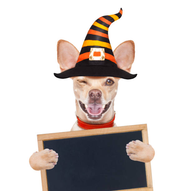 istock halloween  ghost  dog trick or treat 1046039826