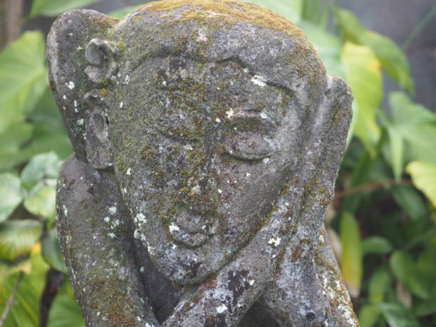 istock Statue and moss in a Balinese garden 1046047320