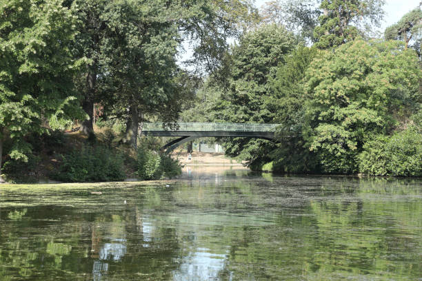 istock little bridge on water 1046052870