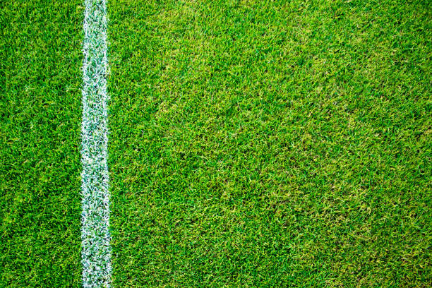textura y fondo de campo de fútbol hierba - on top of grass scenics field fotografías e imágenes de stock