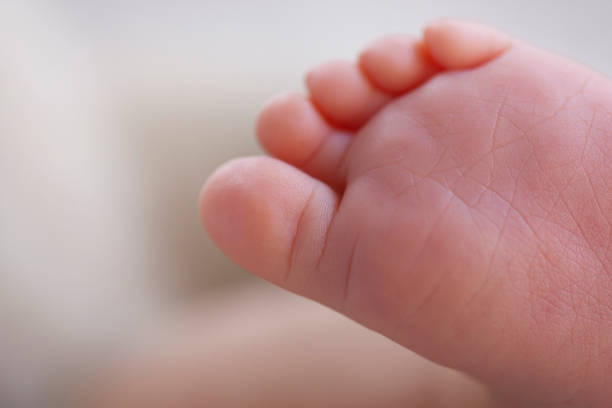 istock Newborn baby's feet 1046075922