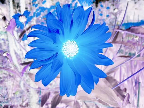 istock Surreal Garden with Inverted Blue Flower 1046081318