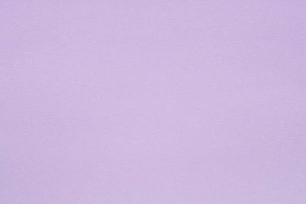 lavender paper texture background. colored cardboard fibers and grain. empty space concept.
