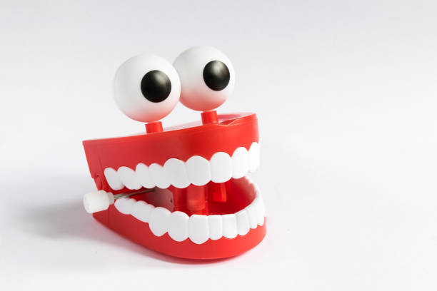 Dentures Funny Stock Photos, Pictures & Royalty-Free Images - iStock