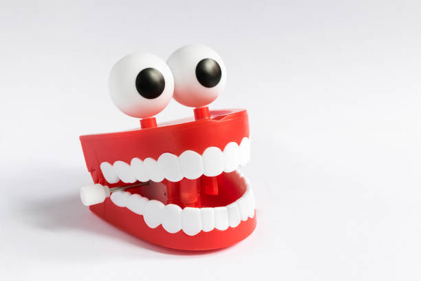 Smile! A false teeth denture with big eyes smiles funny false teeth stock pictures, royalty-free photos & images