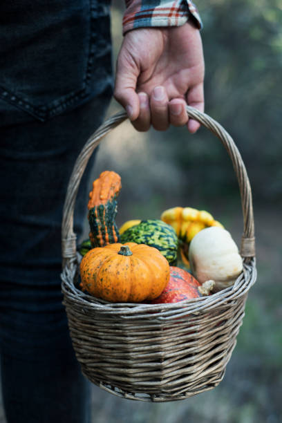 istock man with a basket full of pumpkins 1046092526