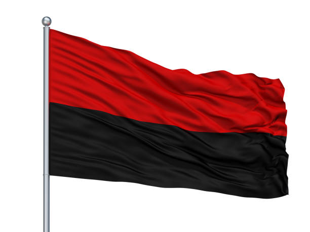 istock Jauregui City Flag On Flagpole, Venezuela, Isolated On White Background 1046095608