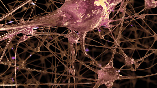 istock 3D rendering of a network of neuron cells and synapses in the brain through which electrical impulses and discharges pass 1046096040