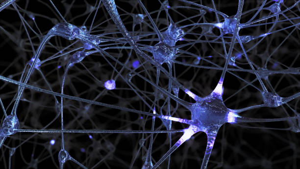 istock 3D rendering of a network of neuron cells and synapses in the brain through which electrical impulses and discharges pass 1046096208